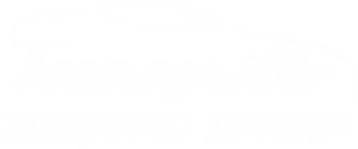 Tecnogrillo
